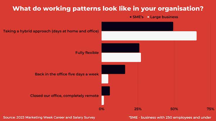 Salary Survey 2023